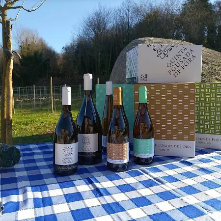 Quinta De Fora Wines & Tourism * Guimarães
