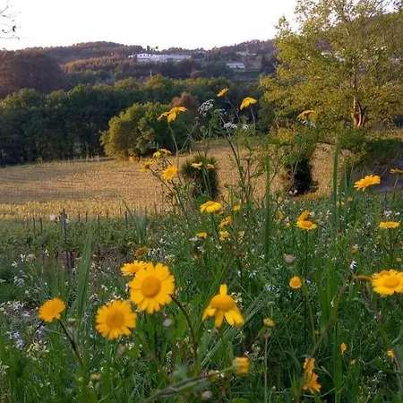 Quinta De Fora Wines & Tourism *