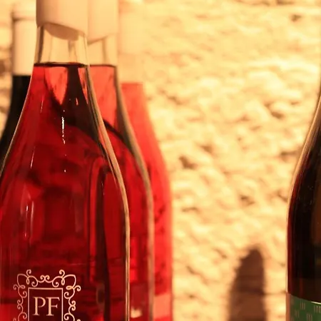 Quinta De Fora Wines & Tourism 吉马良斯