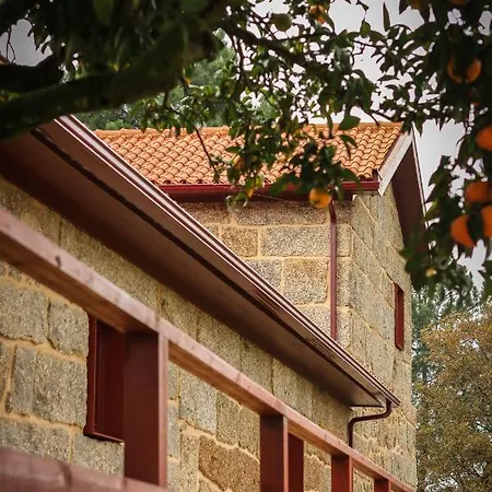 Quinta De Fora Wines & Tourism