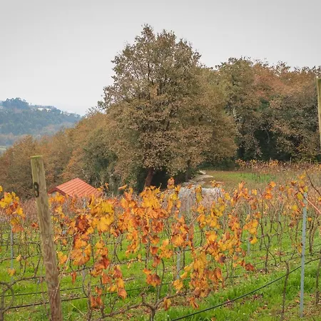 Quinta De Fora Wines & Tourism Casa de Férias *