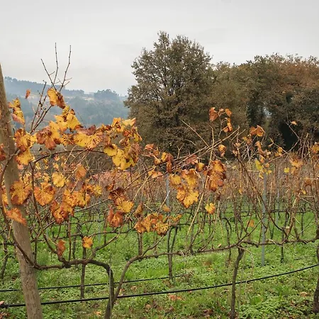 Quinta De Fora Wines & Tourism Holiday home *