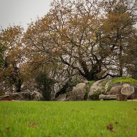 Quinta De Fora Wines & Tourism