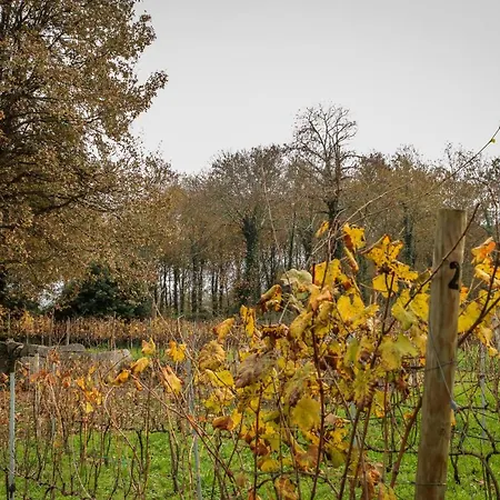 Quinta De Fora Wines & Tourism 度假居 吉马良斯