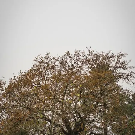 Quinta De Fora Wines & Tourism Prázdninový dům *