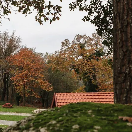 Casa de Férias Quinta De Fora Wines & Tourism Guimarães