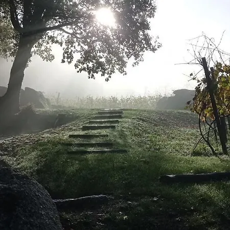 Quinta De Fora Wines & Tourism *