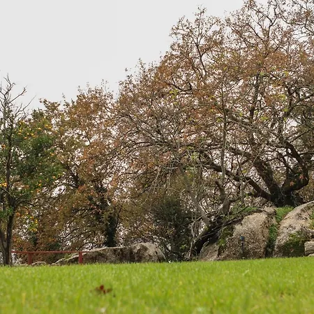 Quinta De Fora Wines & Tourism