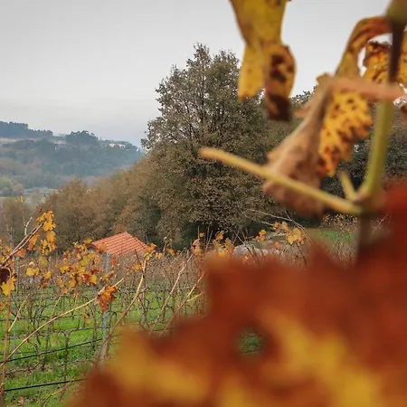 度假居 Quinta De Fora Wines & Tourism 吉马良斯