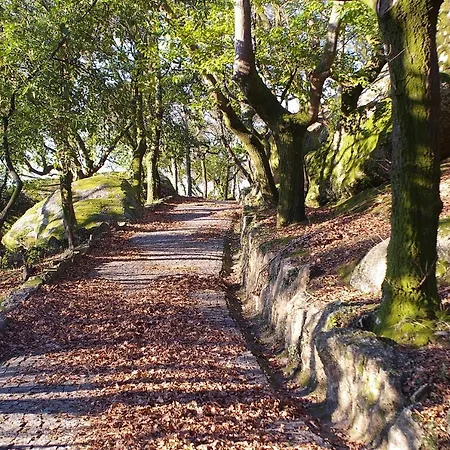 Quinta De Fora Wines & Tourism