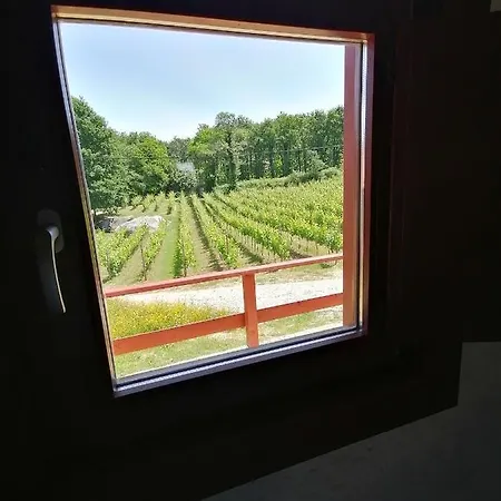 Quinta De Fora Wines & Tourism غيمارايش
