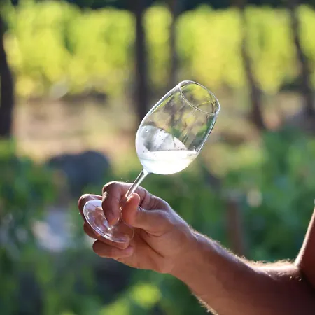 Quinta De Fora Wines & Tourism *