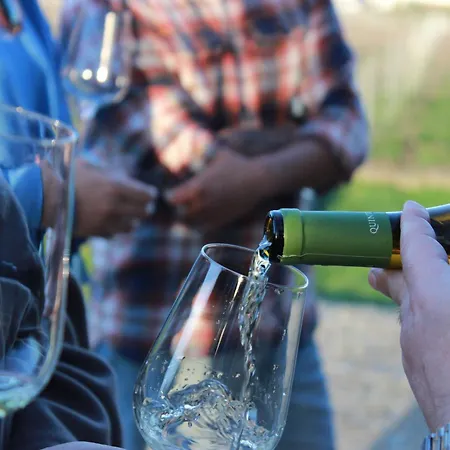 Quinta De Fora Wines & Tourism 吉马良斯