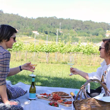 Quinta De Fora Wines & Tourism 吉马良斯