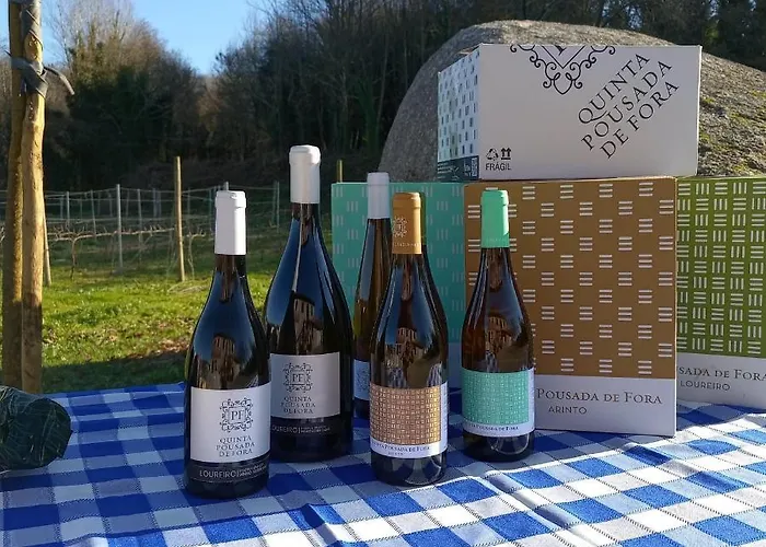 Quinta De Fora Wines & Tourism * ギマランイス