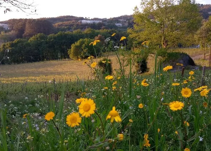 Quinta De Fora Wines & Tourism *