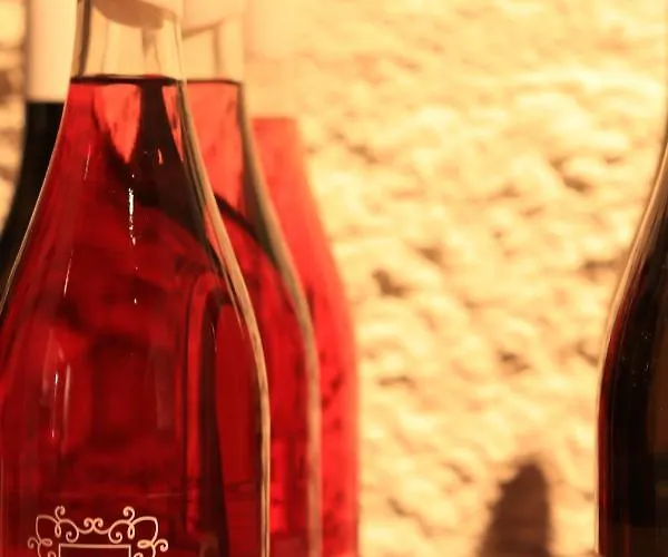 Quinta De Fora Wines & Tourism ギマランイス