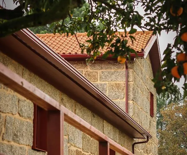 Quinta De Fora Wines & Tourism