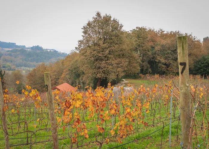 Quinta De Fora Wines & Tourism 別荘 *