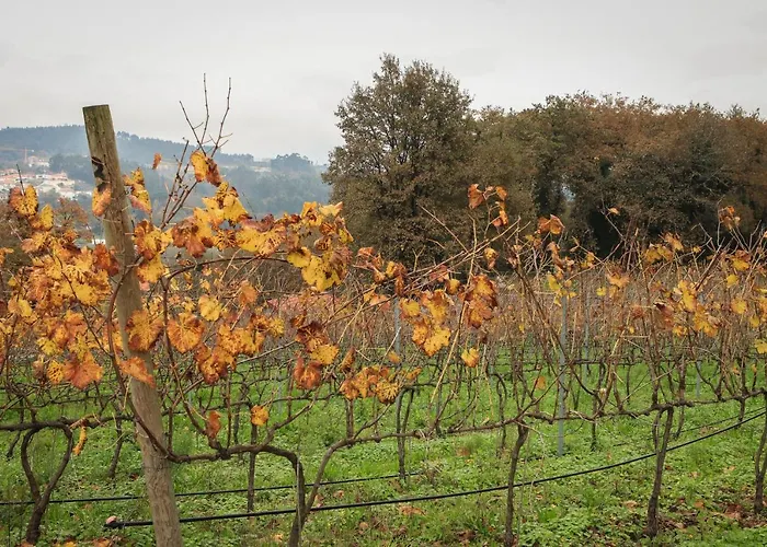 Quinta De Fora Wines & Tourism 펜션 *