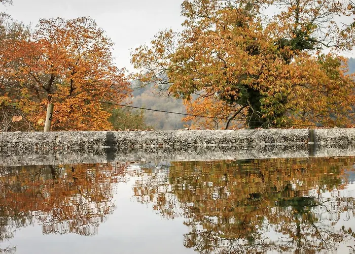 펜션 Quinta De Fora Wines & Tourism 귀마레스