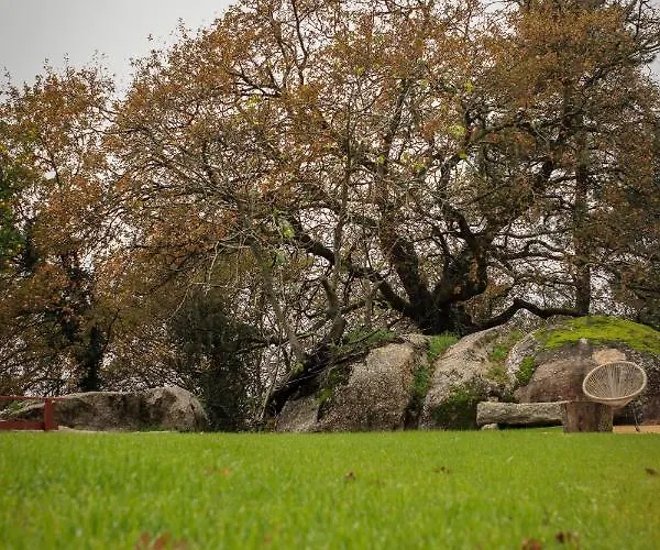 Quinta De Fora Wines & Tourism