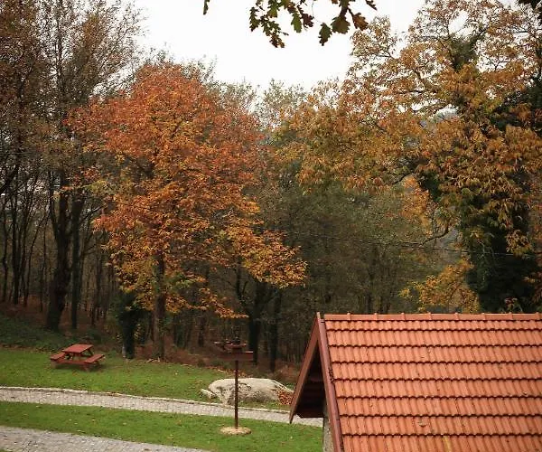 別荘 Quinta De Fora Wines & Tourism ギマランイス