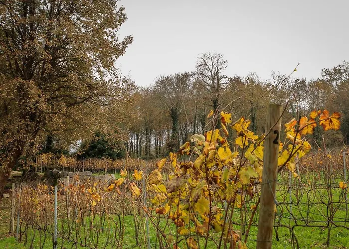 Quinta De Fora Wines & Tourism 別荘 ギマランイス