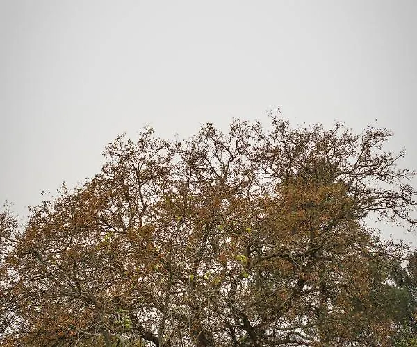 Quinta De Fora Wines & Tourism 펜션 *