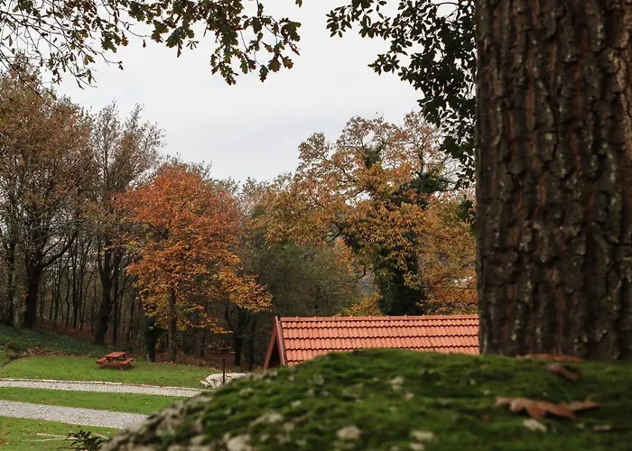 펜션 Quinta De Fora Wines & Tourism 귀마레스