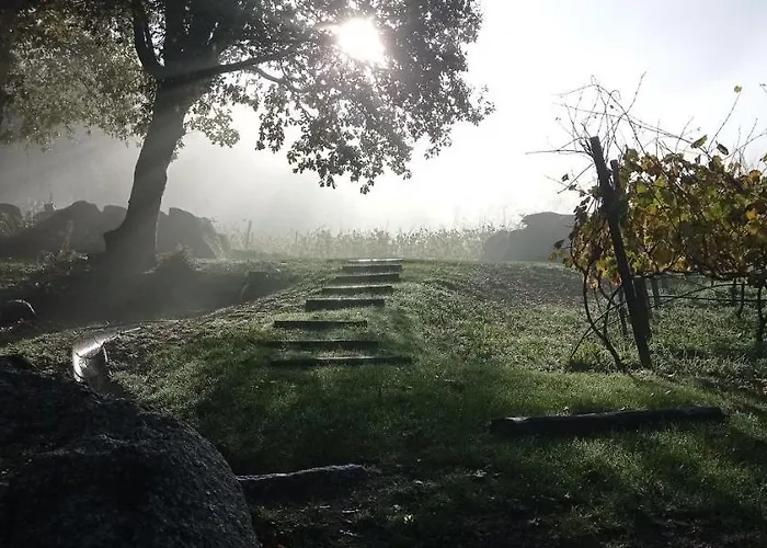 Quinta De Fora Wines & Tourism *