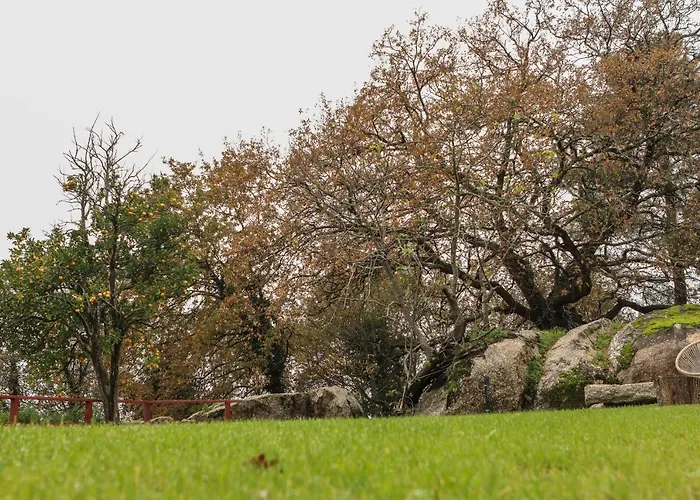 Quinta De Fora Wines & Tourism