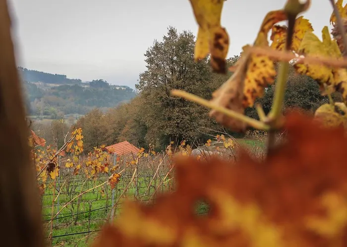 펜션 Quinta De Fora Wines & Tourism 귀마레스