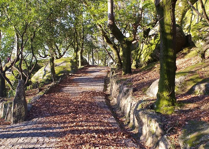 Quinta De Fora Wines & Tourism