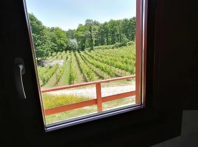 Quinta De Fora Wines & Tourism ギマランイス