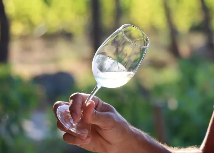 Quinta De Fora Wines & Tourism *