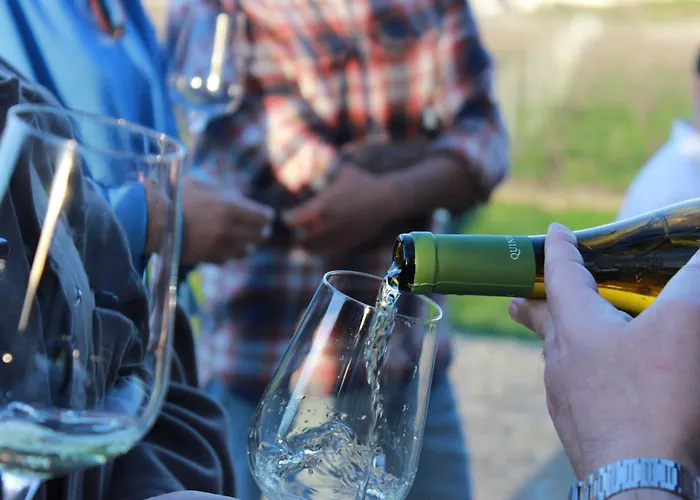 Quinta De Fora Wines & Tourism 귀마레스