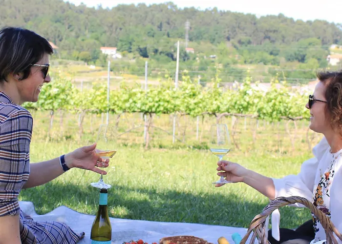 Quinta De Fora Wines & Tourism ギマランイス