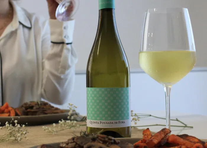 펜션 Quinta De Fora Wines & Tourism 귀마레스